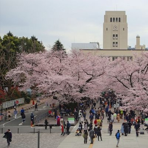 日本留学有哪些专业有优势？